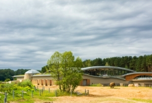 Ogród zoologiczny – Słoniarnia, Poznań 